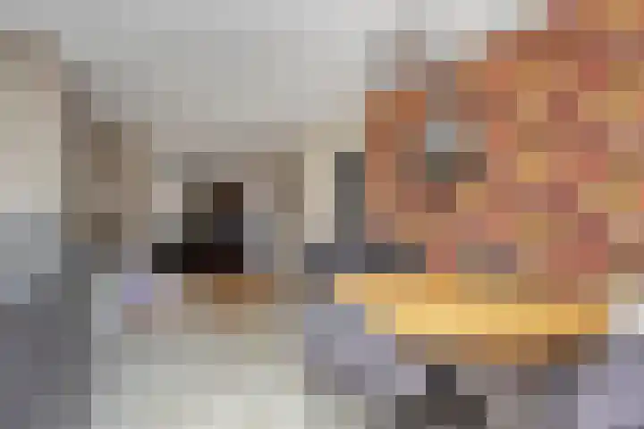 Kronkelbaan 32 Abbekerk thumbnail 14