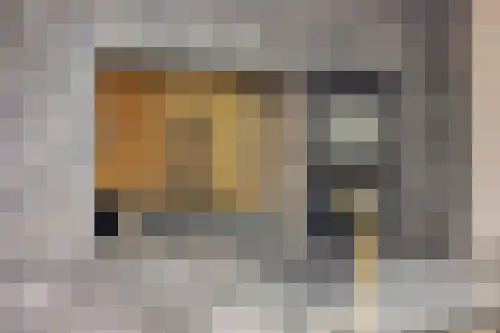 Kronkelbaan 32 Abbekerk thumbnail 20