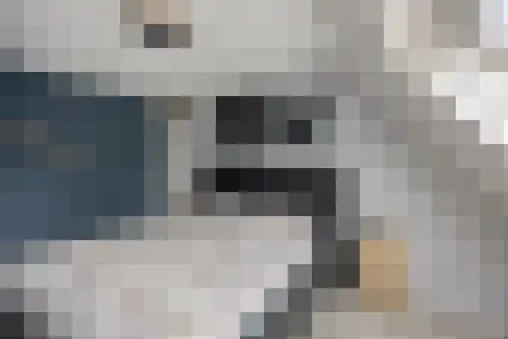 Kronkelbaan 32 Abbekerk thumbnail 23