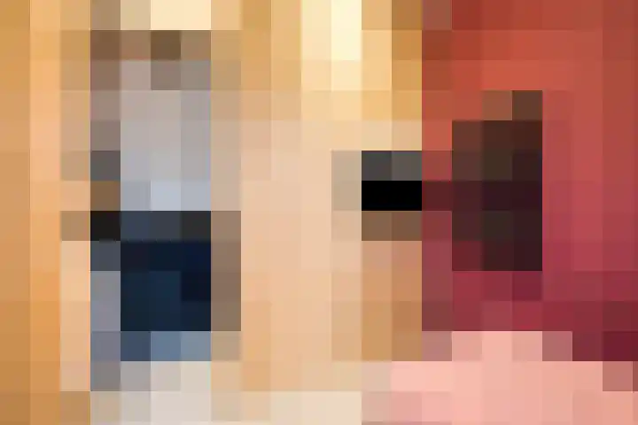 Kronkelbaan 32 Abbekerk thumbnail 34