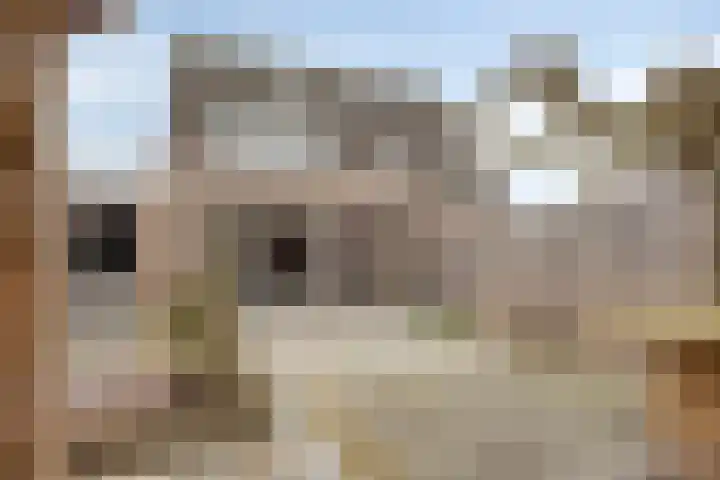 Kronkelbaan 32 Abbekerk thumbnail 35