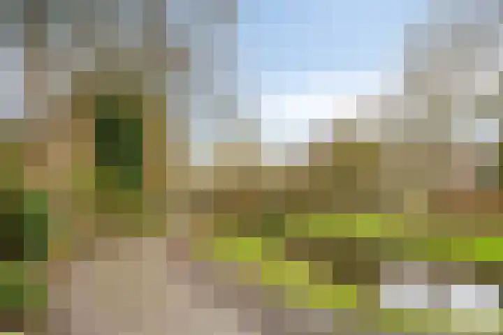 Kronkelbaan 32 Abbekerk thumbnail 42