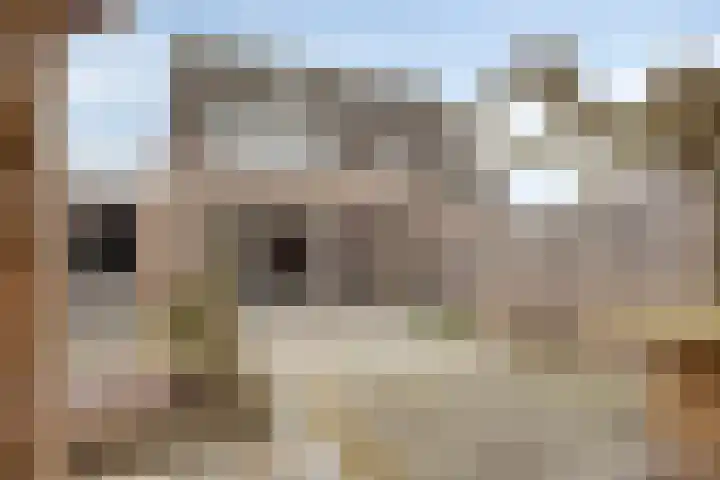 Kronkelbaan 32 Abbekerk thumbnail 6