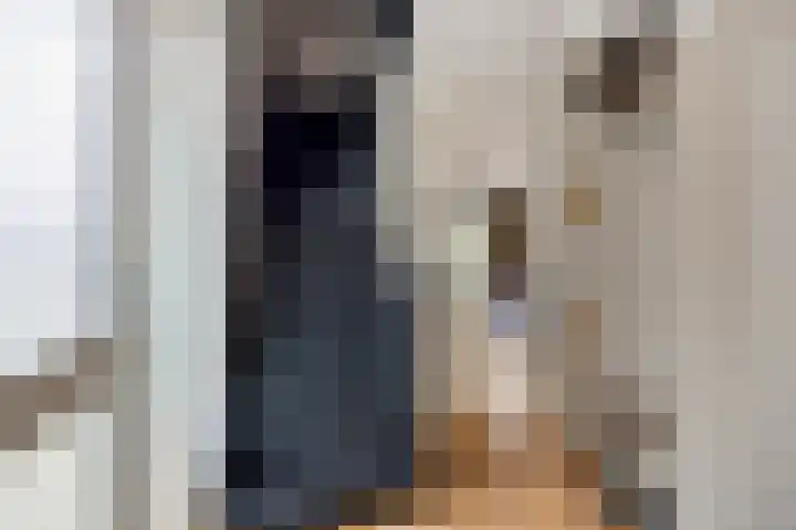 Kronkelbaan 32 Abbekerk thumbnail 9