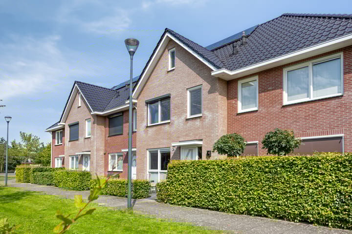 Kronkelwilg 4 in Kampen Foto