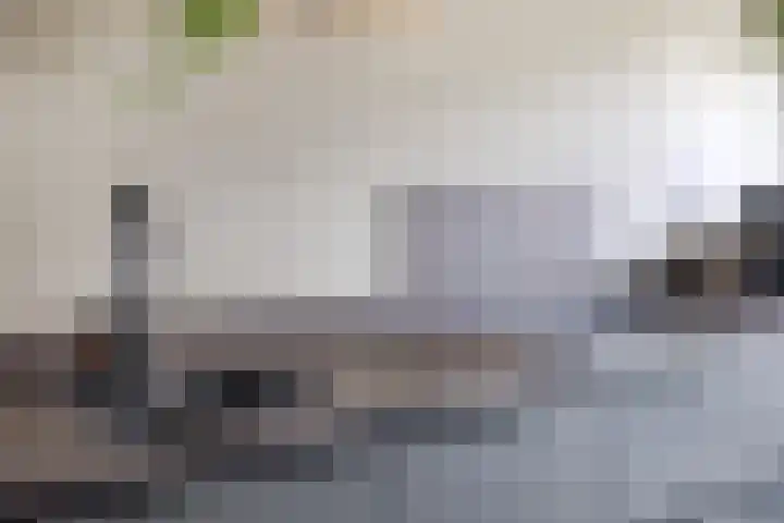 Kronkelwilg 4 Kampen thumbnail 10
