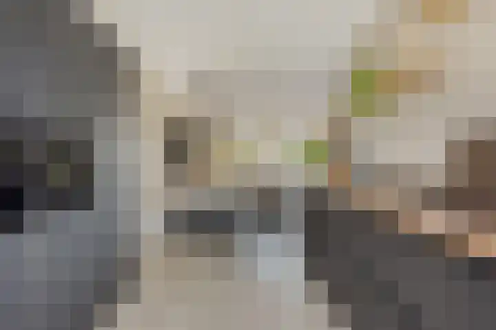 Kronkelwilg 4 Kampen thumbnail 11