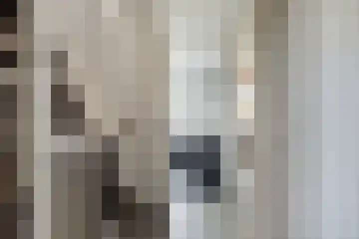 Kronkelwilg 4 Kampen thumbnail 14