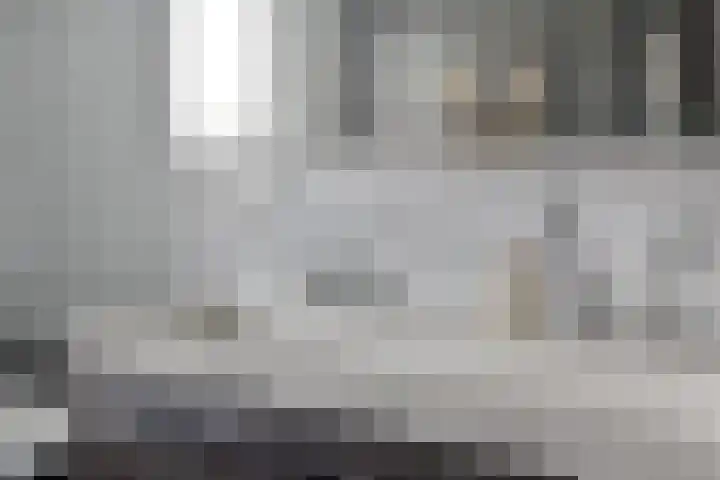 Kronkelwilg 4 Kampen thumbnail 17