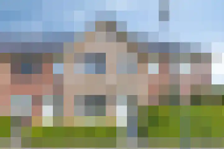 Kronkelwilg 4 Kampen foto 2