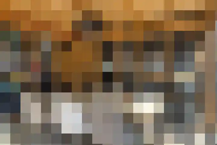 Kronkelwilg 4 Kampen thumbnail 30