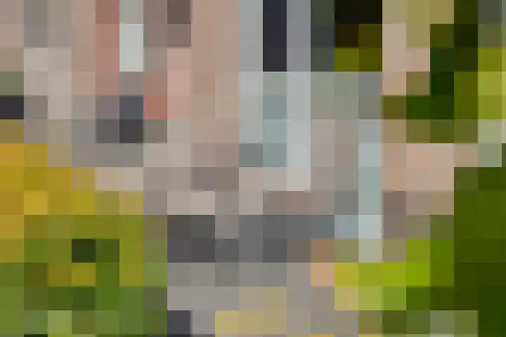 Kronkelwilg 4 Kampen thumbnail 33
