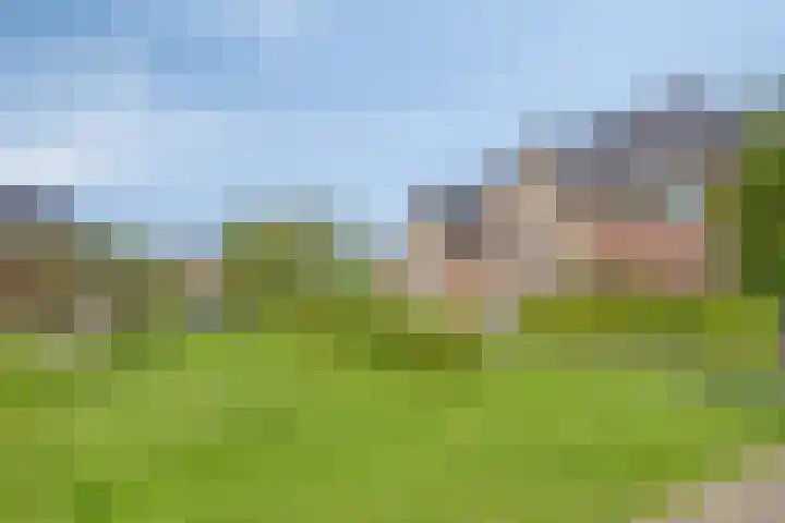 Kronkelwilg 4 Kampen thumbnail 34