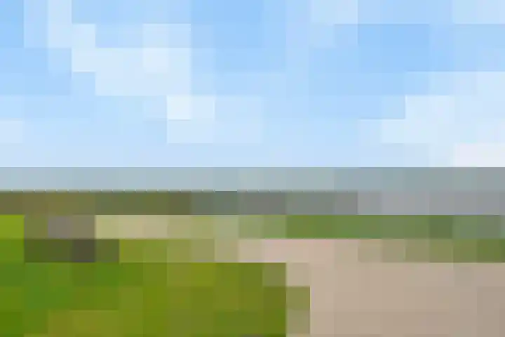 Kronkelwilg 4 Kampen thumbnail 37
