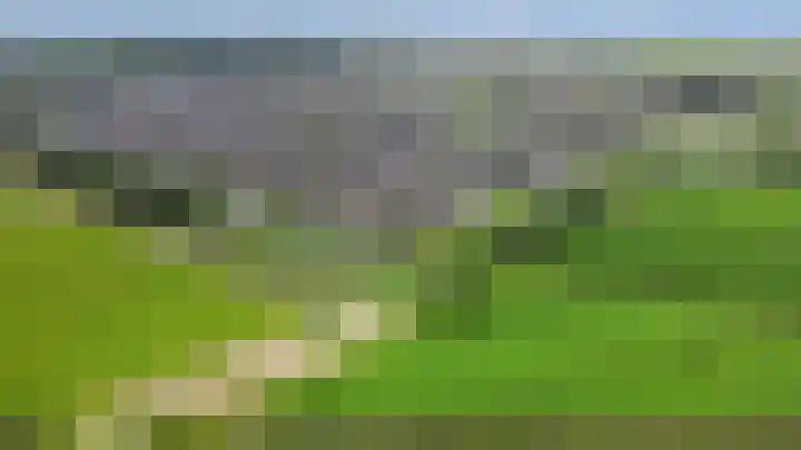 Kronkelwilg 4 Kampen thumbnail 38