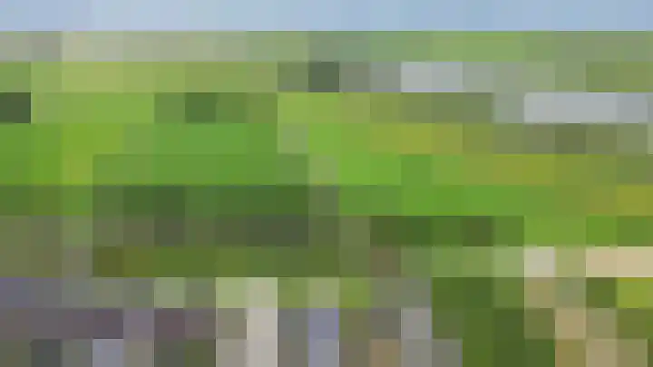 Kronkelwilg 4 Kampen thumbnail 39