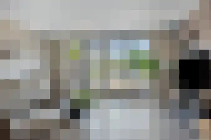 Kronkelwilg 4 Kampen thumbnail 4