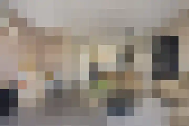 Kronkelwilg 4 Kampen thumbnail 5