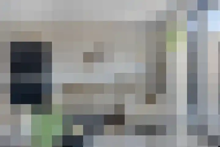 Kronkelwilg 4 Kampen thumbnail 6