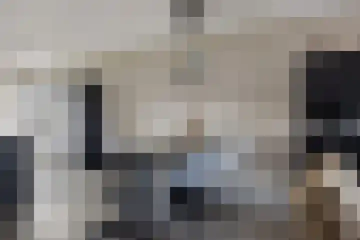 Kronkelwilg 4 Kampen thumbnail 8