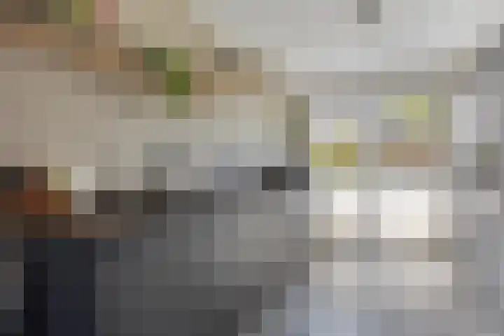 Kronkelwilg 4 Kampen thumbnail 9