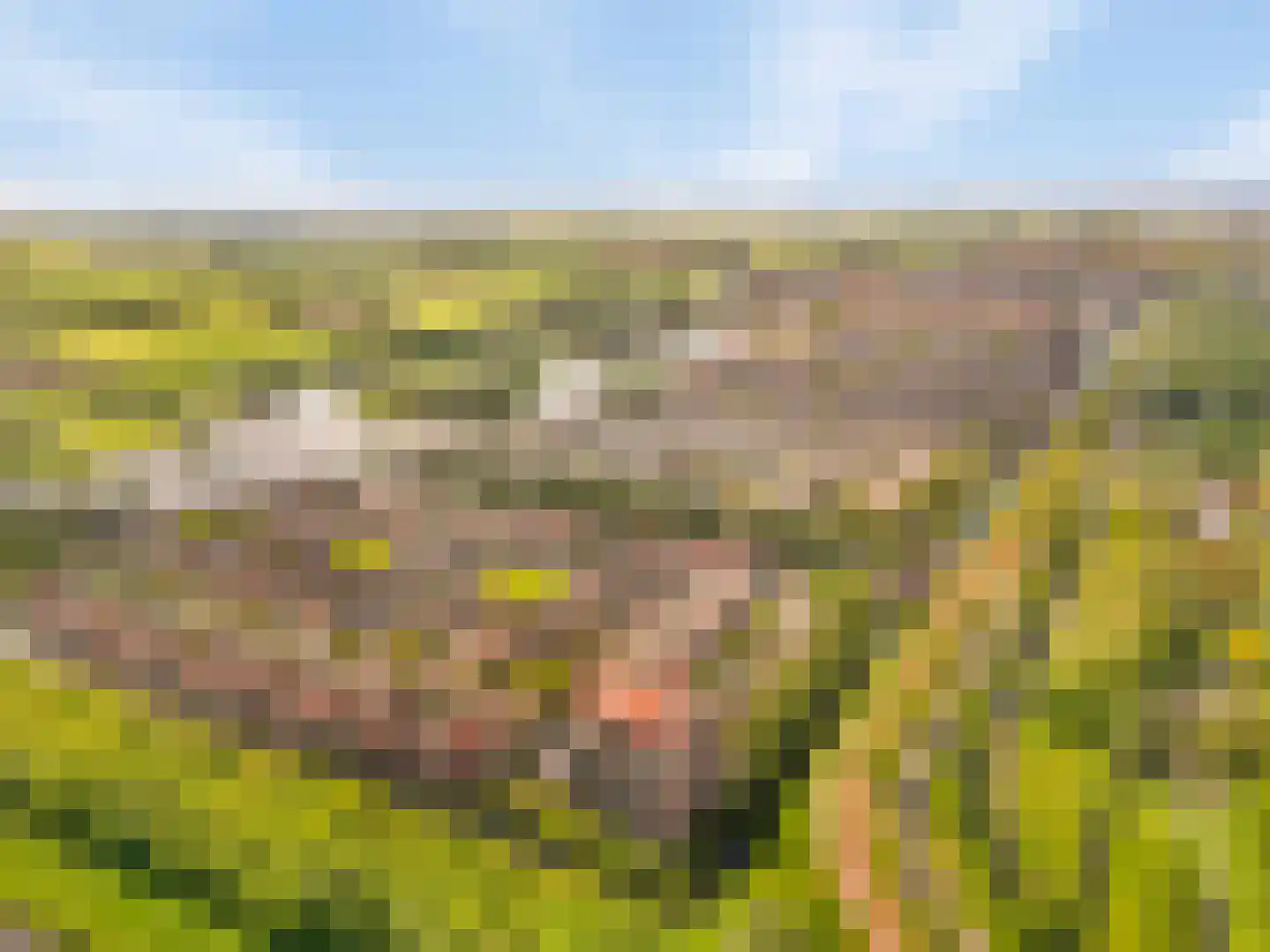 Kroon 20 Rhoon thumbnail 12