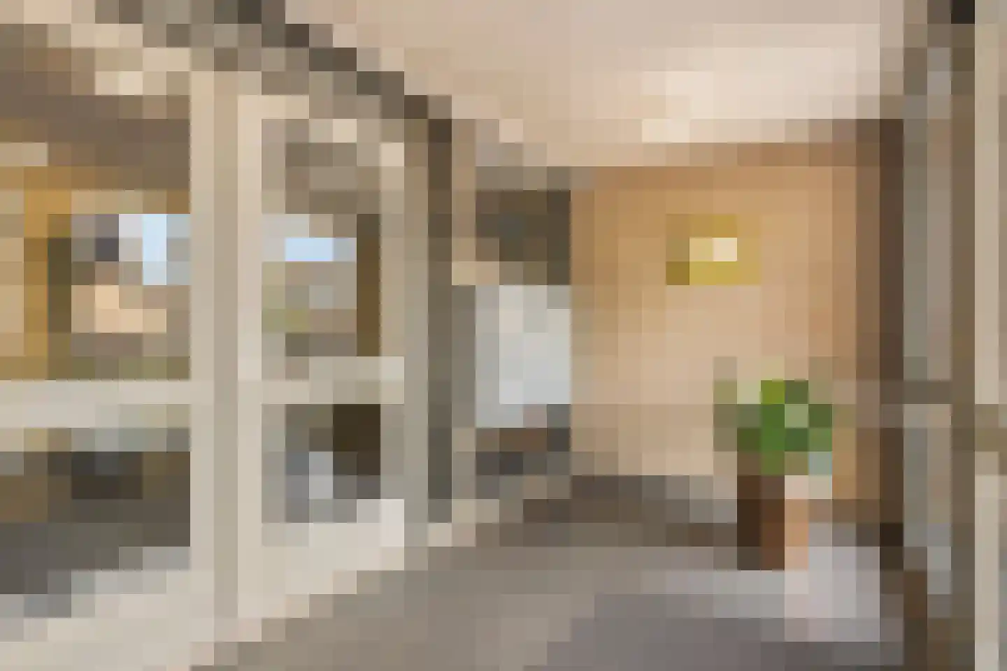 Kroon 20 Rhoon thumbnail 14