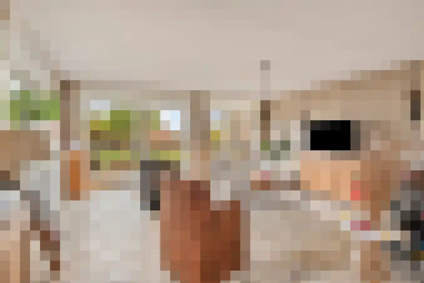 Kroon 20 Rhoon thumbnail 20