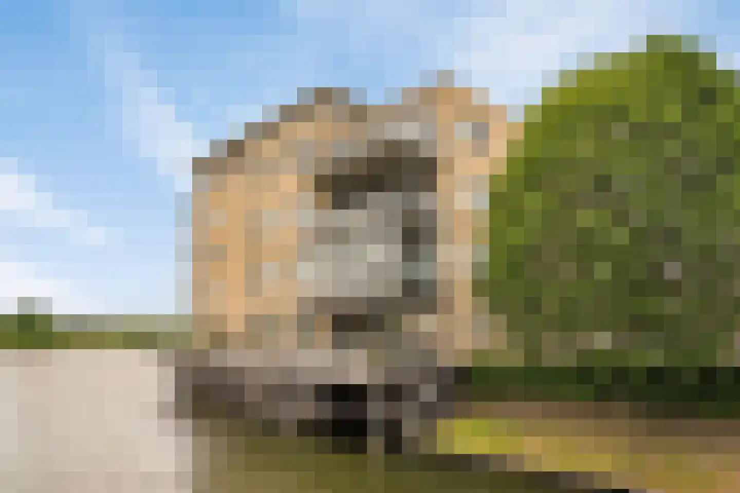 Kroon 20 Rhoon thumbnail 38