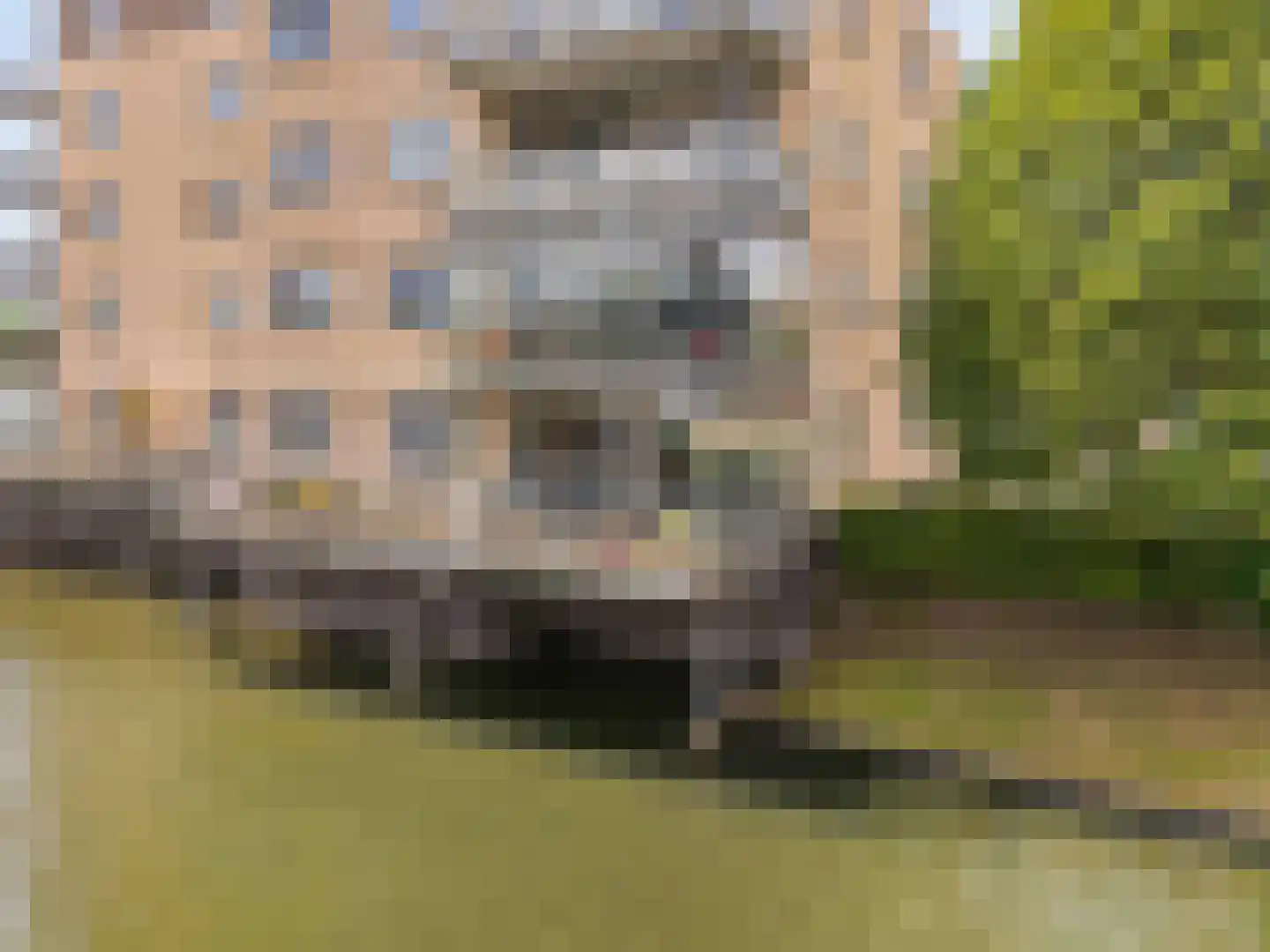 Kroon 20 Rhoon thumbnail 7