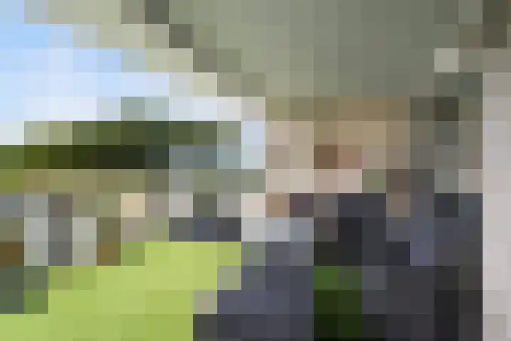 Kroon 26 Rhoon thumbnail 18