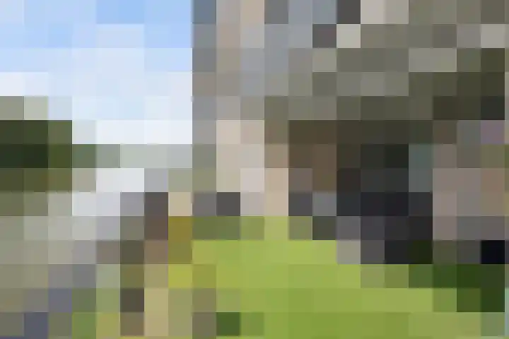 Kroon 26 Rhoon thumbnail 21