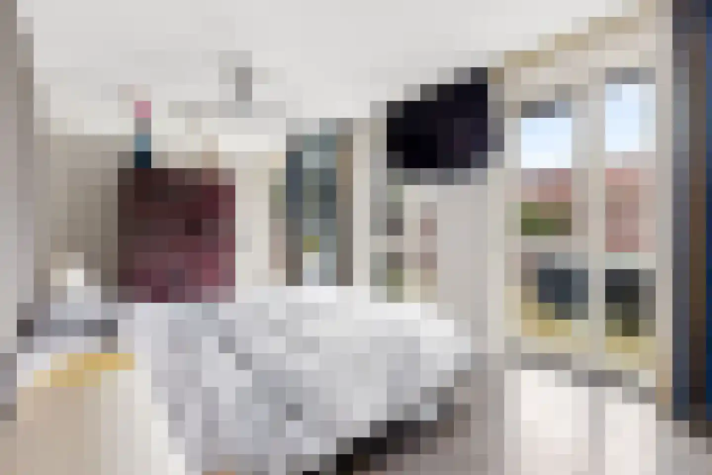 Kroon 35 Uden thumbnail 22