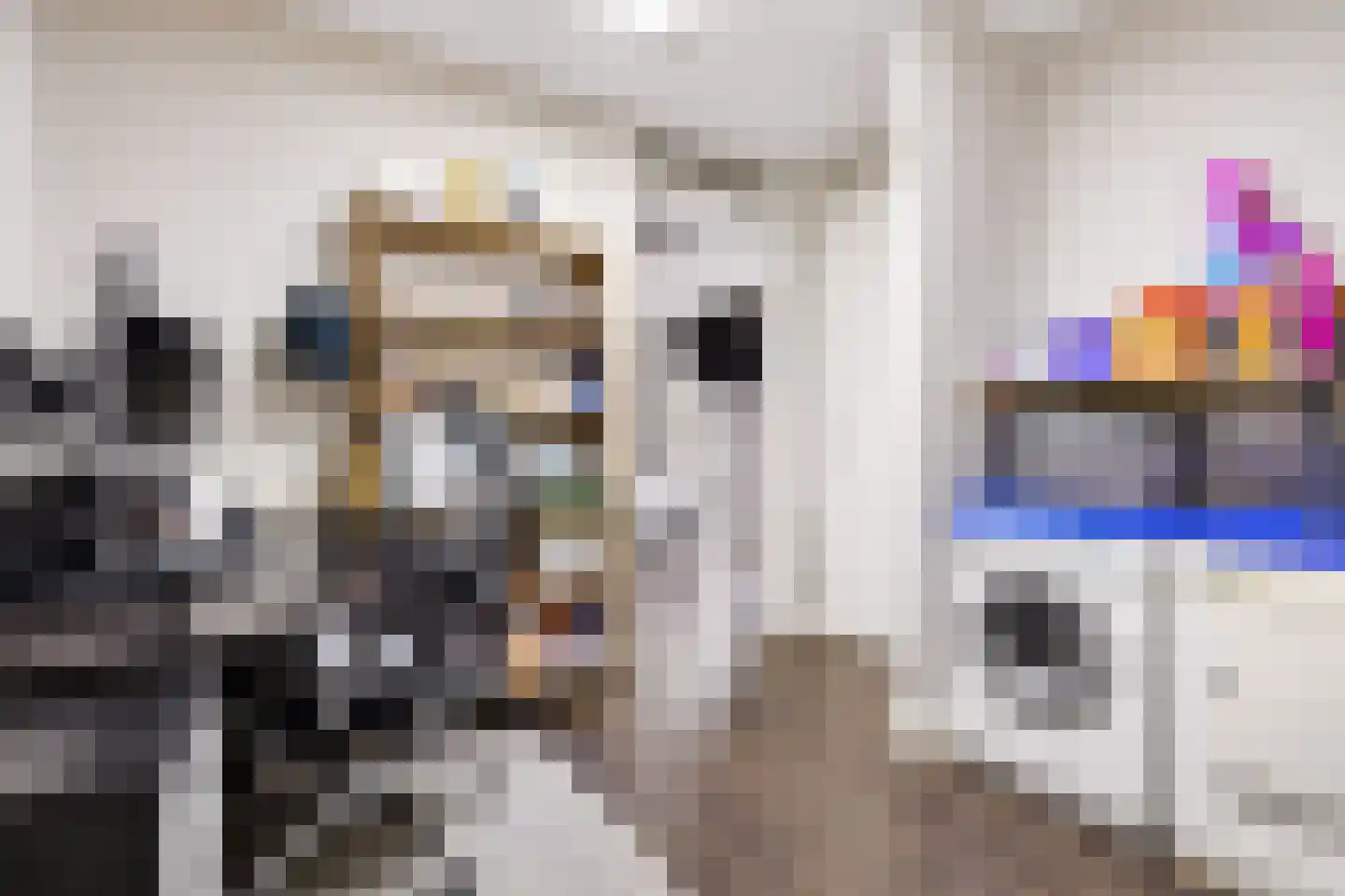 Kroon 35 Uden thumbnail 31