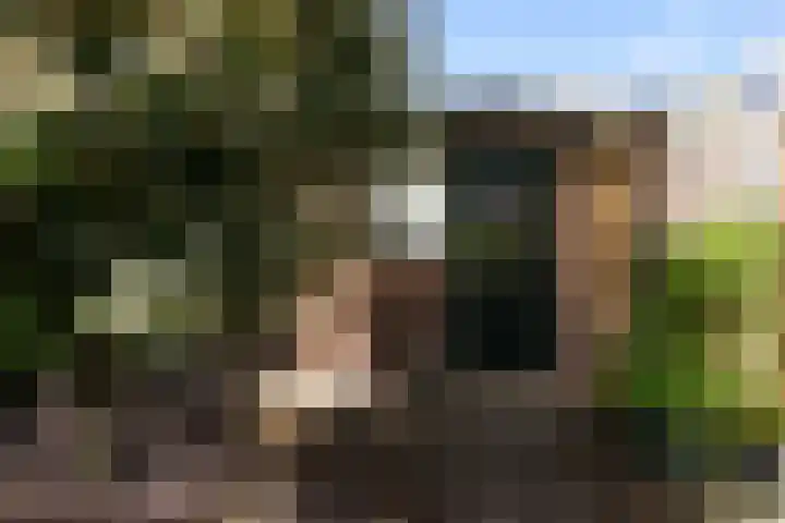 Kroonbeek 1 Geleen thumbnail 31
