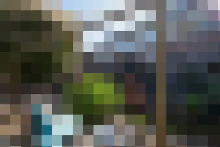 Kroonbeek 1 Geleen thumbnail 34