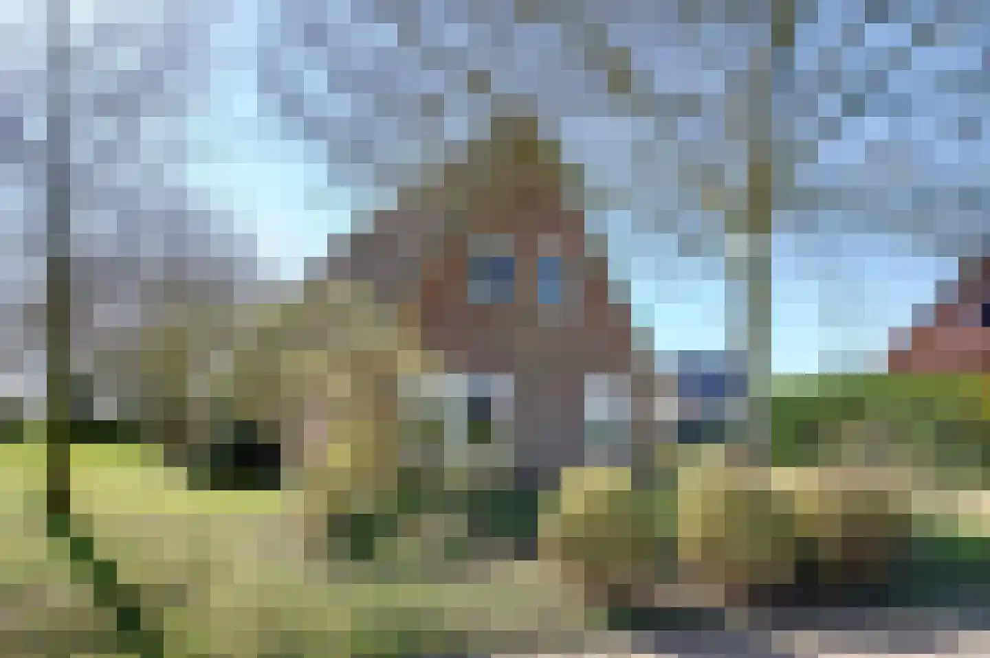 Kroonborg 7 Drieborg