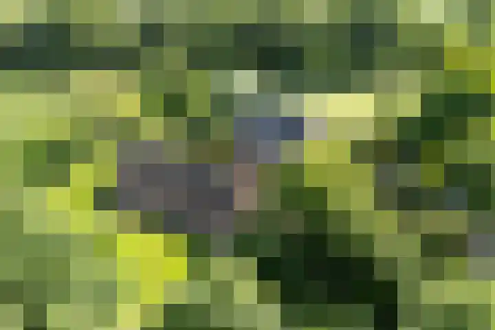 Kroondijk 1 in Aalten