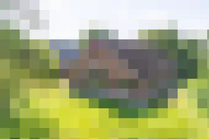 Kroondijk 1 Aalten thumbnail 10