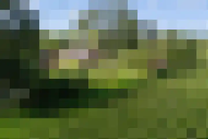 Kroondijk 1 Aalten thumbnail 15