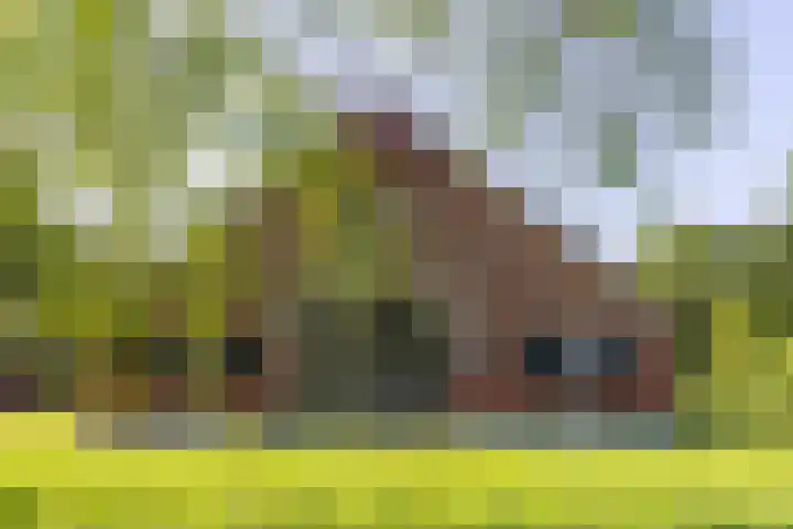 Kroondijk 1 Aalten thumbnail 16