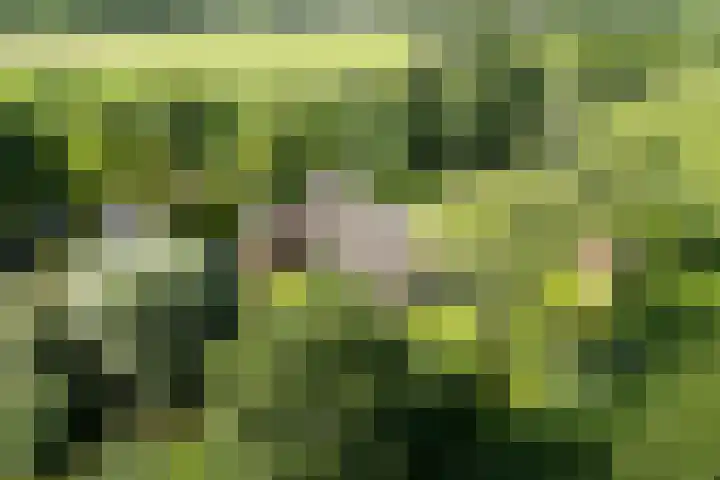 Kroondijk 1 Aalten thumbnail 62