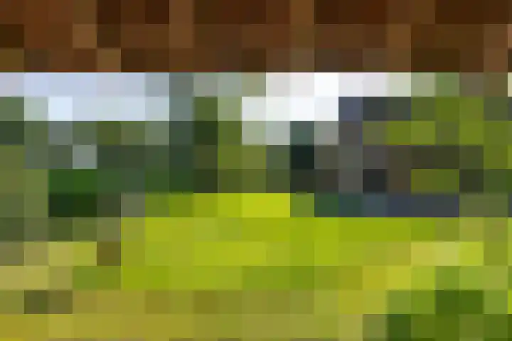 Kroondijk 1 Aalten thumbnail 67