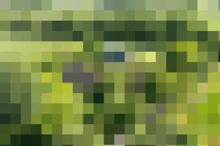 Kroondijk 1 Aalten thumbnail 77