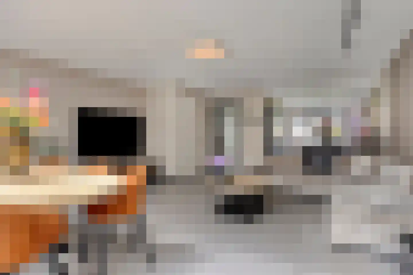 Krooneend 13 Pijnacker thumbnail 11