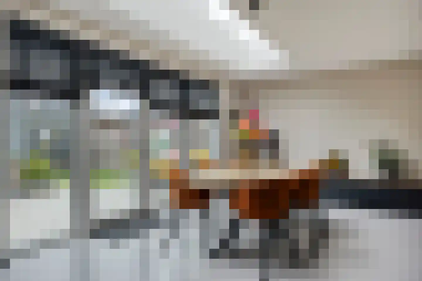 Krooneend 13 Pijnacker thumbnail 12