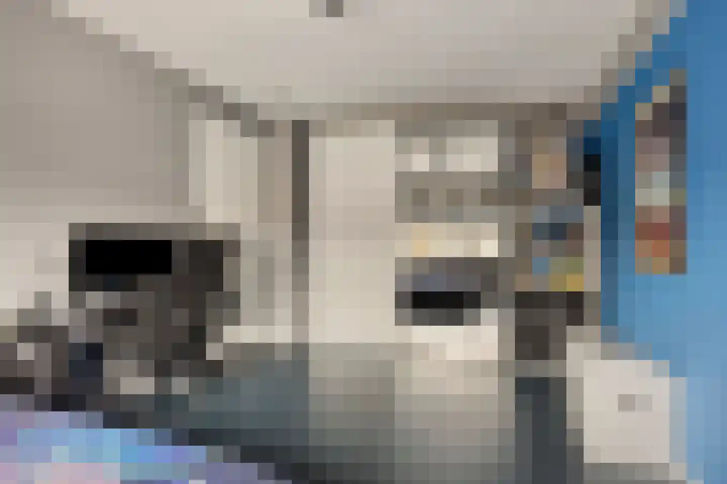 Krooneend 13 Pijnacker thumbnail 18