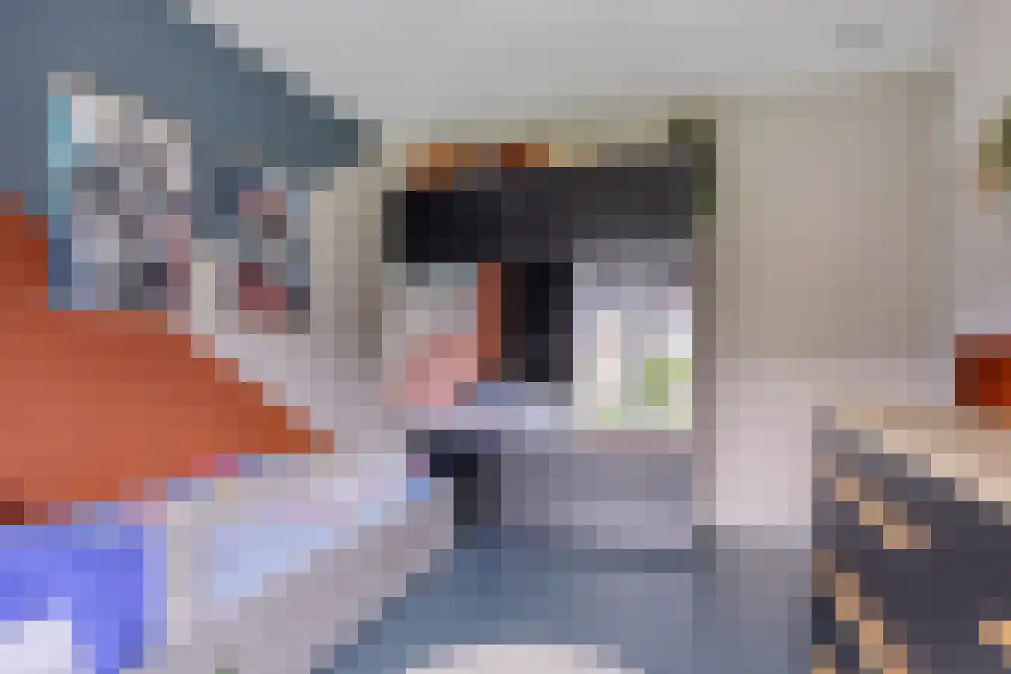 Krooneend 13 Pijnacker thumbnail 20