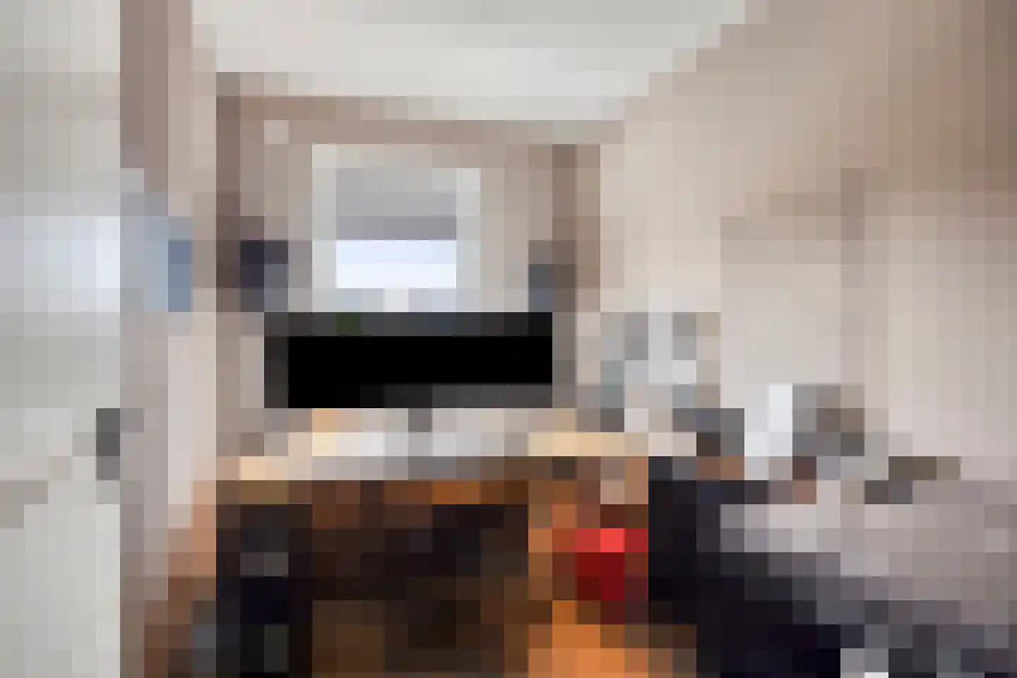 Krooneend 13 Pijnacker thumbnail 21