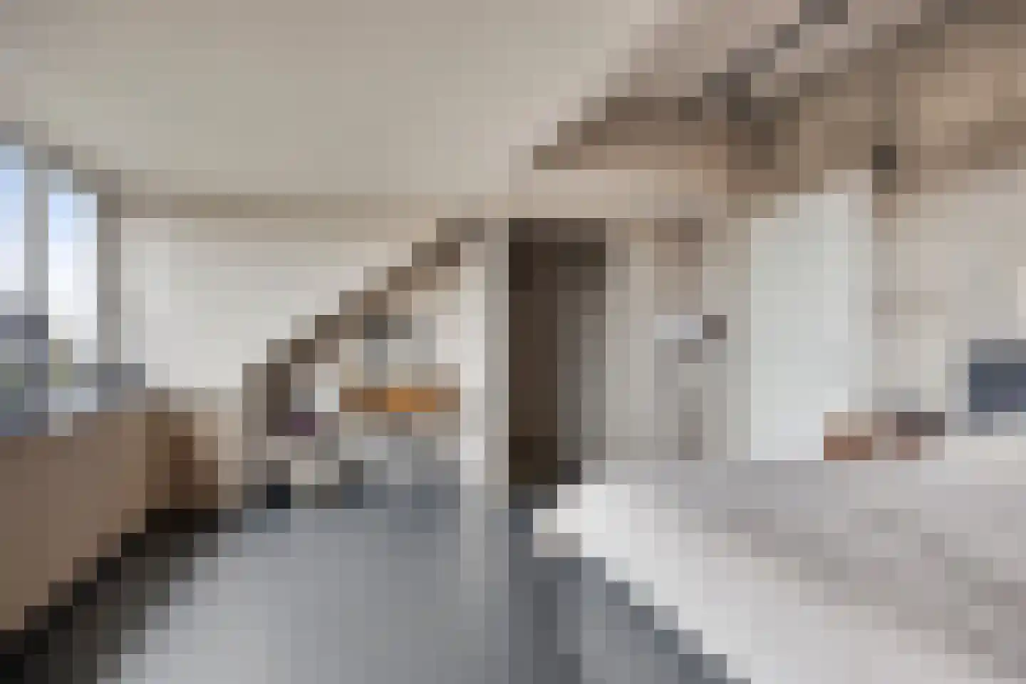 Krooneend 13 Pijnacker thumbnail 26